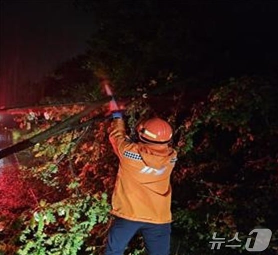 5일 오후 9시 22분쯤 부산 기장군 일광읍 한 도로에서 큰 나무가 쓰러지고 토사가 흘려내려 도로 교통에 장애가 발생했다.(부산소방재난본부 제공)