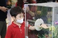 아이가 곤충 만지기 체험을 하고 있다. (서울시 제공)© 뉴스1