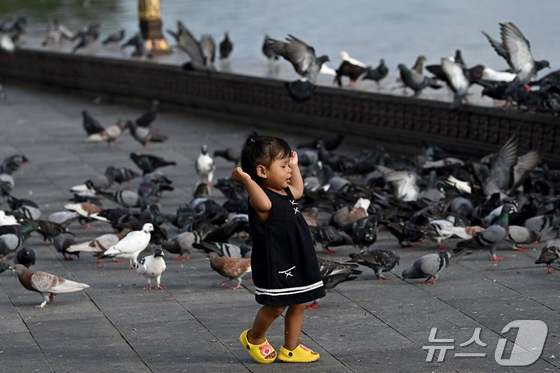 새들 사이를 걷고 있는 어린이. © AFP=뉴스1