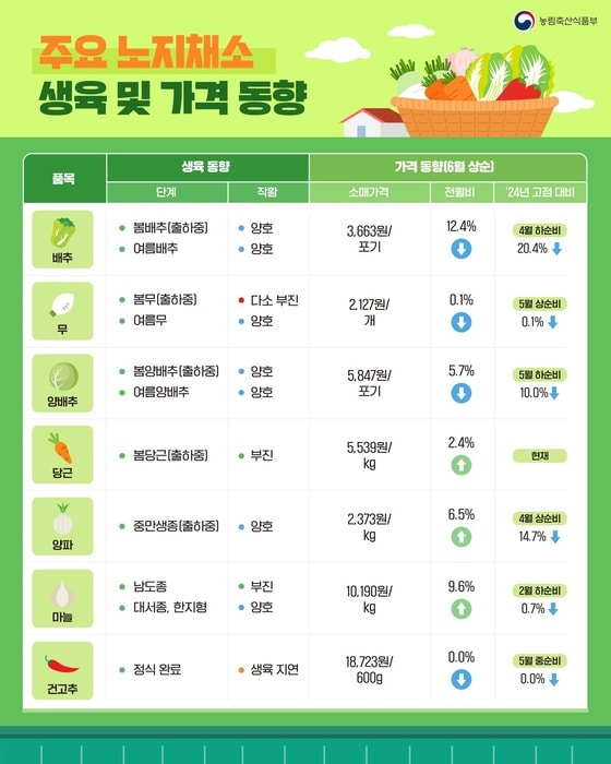 링크 미리보기