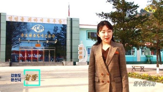  송도원종합식료공장을 찾은 북한 최수림 기자. (유튜브 채널 'elufatv')