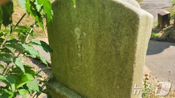 미국에서 태어난 최초의 조선인 이화손의 묘비 뒷면. '조선 니화손'이라는 궁서체의 한글 글귀가 새겨져 있다. 2024.06.30.